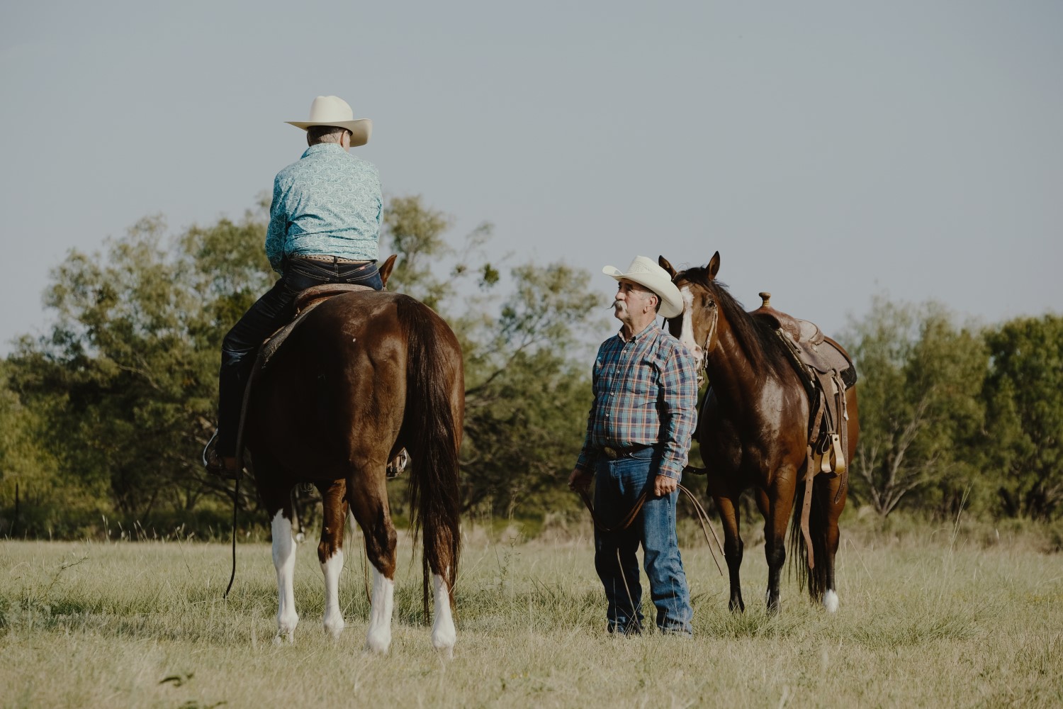 Western lifestyle